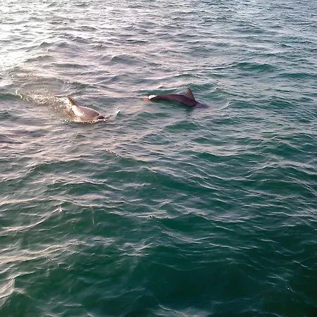 D'une Avec Vue Sur La Et Wifi A Granville