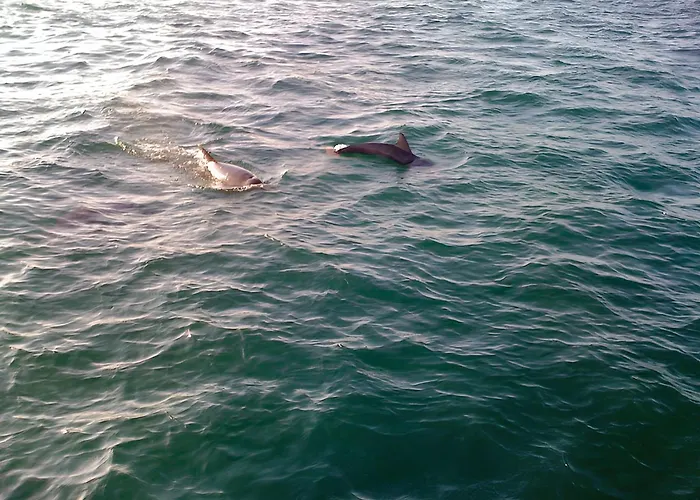 Avec Vue Sur La A - 55 M² Granville